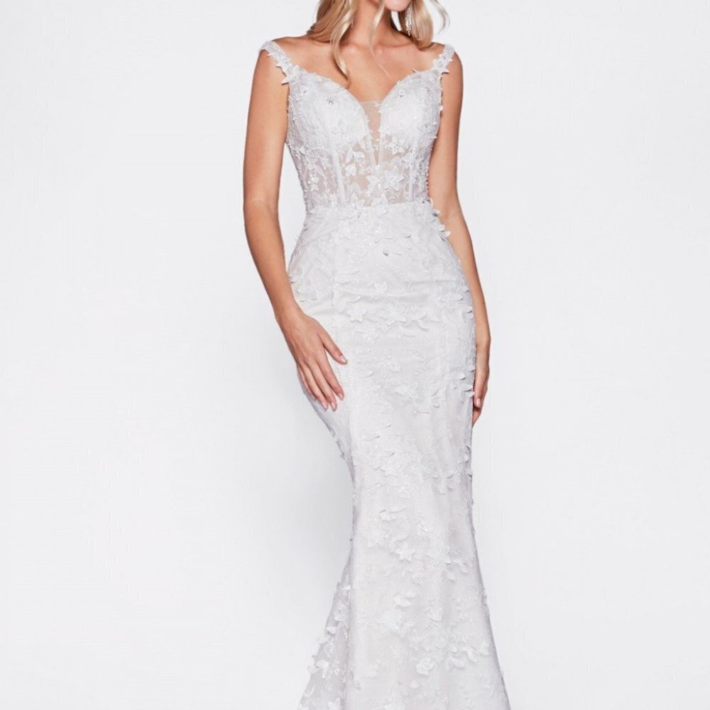 Illusion V-Neck Off Shoulder Wedding Dress CDTY01